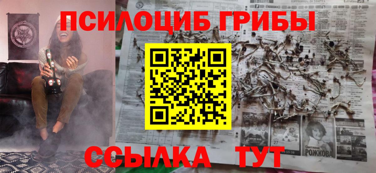 наркошоп  Галлюциногенные грибы Psilocybine cubensis  Вход с VPN  Саяногорск 